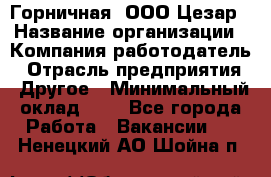 Горничная. ООО Цезар › Название организации ­ Компания-работодатель › Отрасль предприятия ­ Другое › Минимальный оклад ­ 1 - Все города Работа » Вакансии   . Ненецкий АО,Шойна п.